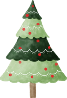 Watercolor Christmas tree for decoration. png