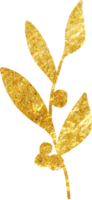 Gold Christmas leaves foliage for decorate. png