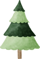 Watercolor Christmas tree for decoration. png