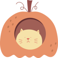 Cartoon illustration with cat and pumpkin house png