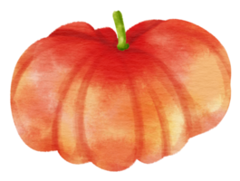 Red Tomato watercolor style for Thanksgiving Decorative Element png