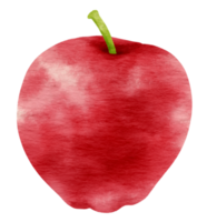 Apfelfrucht-Aquarellart für Thanksgiving-Dekorationselement png