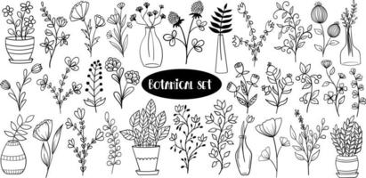 Botanical doodle set with flowers and plants vector