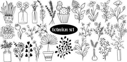 garabato botánico con flores y plantas vector