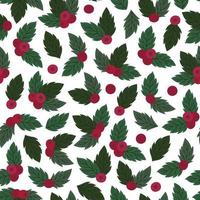 Christmas pattern berries and leaves holly light vector
