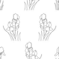Floral seamless pattern with iris flower vector