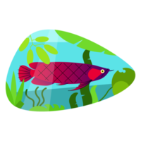 illustration plate de dessin animé de poisson arowana exotique png