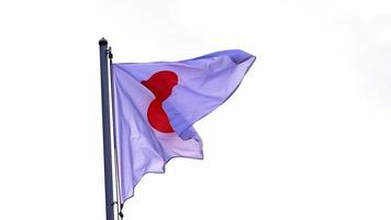 drapeau japonais agitant au sommet du pilier indépendance du japon video