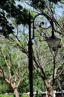 un poste de luz en el jardín. foto