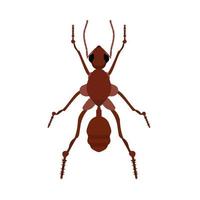 Ant small wildlife brown worker top view vector. Flat forest insect icon vector