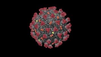 concepto de animación 3d del coronavirus conocido como sars-cov-2 se ve microscópicamente y detalladamente