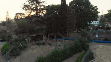 Tbilisi, Georgia,2022 - monkeys behind fence in Tbilisi zoological park at sunset video