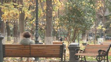 Frau sitzt allein im Park im Herbst video