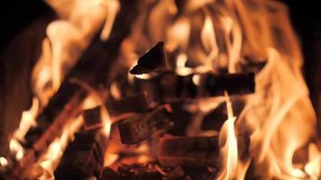 a bonfire blazes in the night - flames in slow motion. video
