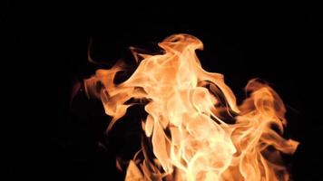 a bonfire blazes in the night - flames in slow motion. video