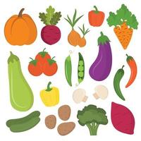 Set of colorful cartoon organic vegetables isolated on white background. Potatoes, pumpkin, zucchini, carrots, onions, eggplant, peppers, tomatoes. Vegetarian food, healthy food, vegan eating. vector