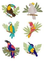 loro de colores brillantes y hojas tropicales. loro cacatúa en los trópicos. Aves exóticas. pájaro de verano multicolor. vector