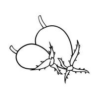 Monochrome picture, ripe rosehip fruits for brewing vitamin tea, vector cartoon illustration on a white background