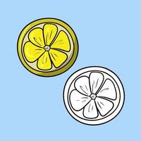 A set of pictures, a bright round slice of lemon, ingredients for making tea, cocktails, pastries, a vector illustration in cartoon style on a colored background