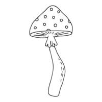 Hand drawn fly-agaric doodle icon. Amanita mushroom. Poisonous toadstool fly agaric. Hand drawn doodle. vector