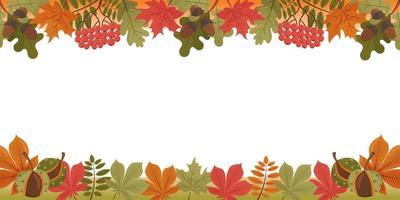 Autumn leaves frame for text. Vector illustration of autumnal elements on white background.