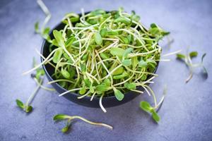 Green young sunflower sprouts on bowl for cooked food healthy vegetables - Sunflower seedling concept photo