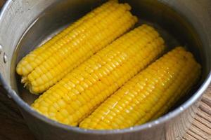 ripe corn cobs sweetcorn for food, steamed or boiled sweet corn cooked in hot pot photo