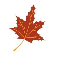 Vector autumn leaf. Fall red maple leaf. Orange foliage. Autumn maple tree.