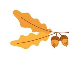 Vector branch with oak leaves and acorns. Autumn oak tree. Cute oak branch with acorns.