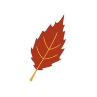 Vector autumn leaf. Red leaf isolated on white. Cute fall element.