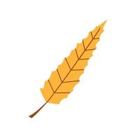 Vector autumn gold leaf. Yellow long leaf isolated on white. Cute fall element.