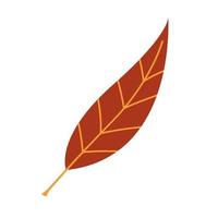 Vector autumn leaf. Red long leaf isolated on white. Cute fall element.