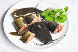 filete de bagre en plato blanco, menú de bagre crudo fresco pescado de agua dulce, bagre para cocinar, pescado picado con ingredientes cilantro foto