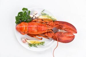 Red lobster dinner seafood with herb spices lemon rosemary served table in the restaurant gourmet food healthy boiled lobster cooked - Fresh lobster food on a white plate background photo