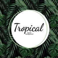 beach vibe tropical banner deign vector