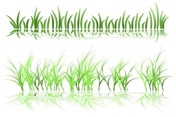 grass reflection on water