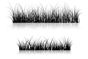 grass reflection. grass on lake water vector