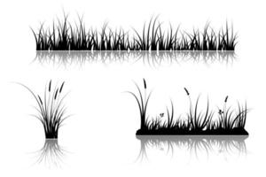 reflejo de la hierba. hierba en el agua del lago vector