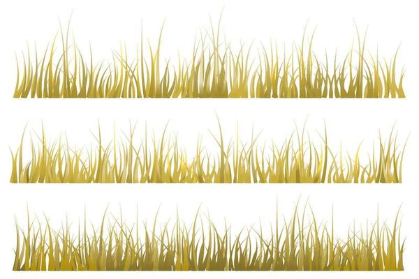 autumn grass. brown grass