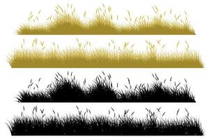 autumn grass. dry grass vector