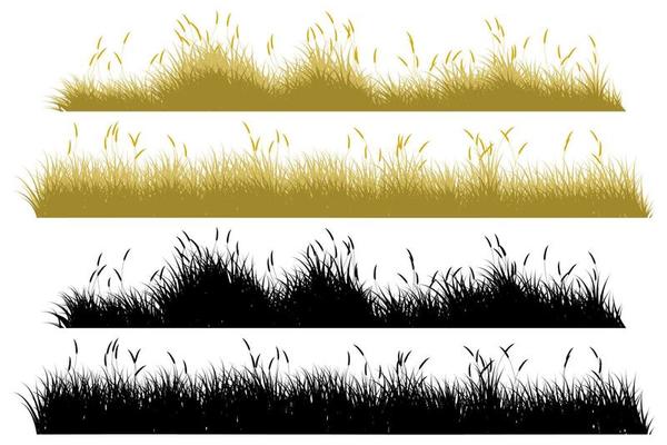 autumn grass. dry grass