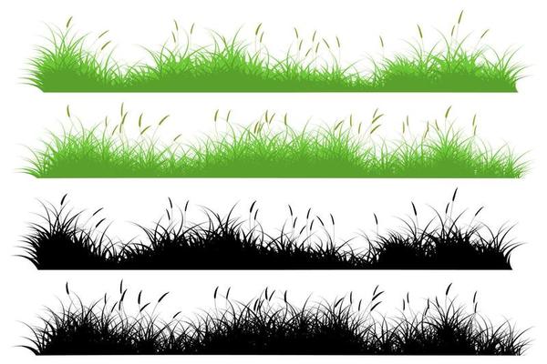 meadow grass. wild grass