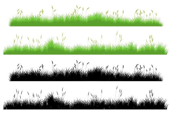 meadow grass. long grass set