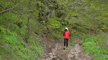 junge kaukasische frau auf waldweg geht im frühling im freien am wochenendausflug in den wald bergab. gesunder lebensstil, ausdauer und fit für das sommerkonzept video