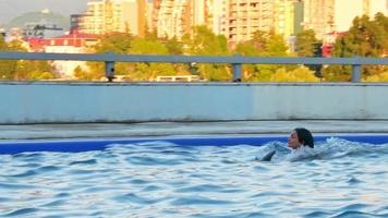 une femme caucasienne nage avec un dauphin dans la piscine. batumi nager avec le concept d'expérience des dauphins