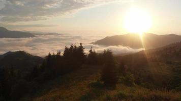 Tramonto spettacolare vista aerea sopra le nuvole nella regione di Adjara con nuvole passano e sole sopra l'orizzonte .splendido sfondo tramonto vibrante sopra la foresta di abeti video