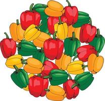 Round made of colored peppers on white background. Isolated peppers for your design. vector