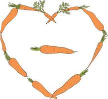 Heart frame with colored carrots. Carrots isolated on white background for your design. Healthy food and diet. Vector. vector