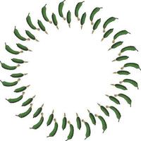 Round frame with vertical green cucumber. Isolated wreath on white background for your design vector