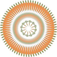 Round frame with carrots ornament. Isolated wreath on white background for your design vector